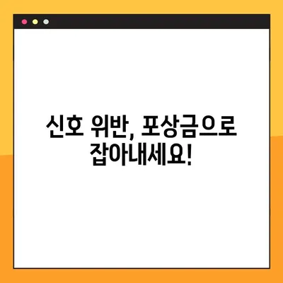 신호 위반 신고, 이렇게 하면 포상금 받는다! | 교통법규 위반, 신고 방법, 포상금 지급 기준