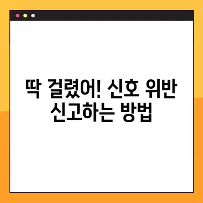 신호 위반 신고, 이렇게 하면 포상금 받는다! | 교통법규 위반, 신고 방법, 포상금 지급 기준