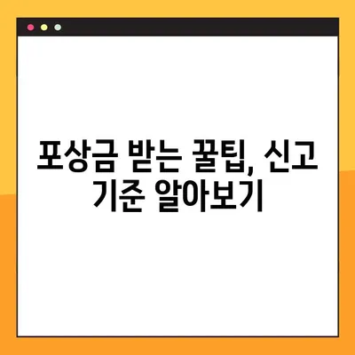 신호 위반 신고, 이렇게 하면 포상금 받는다! | 교통법규 위반, 신고 방법, 포상금 지급 기준