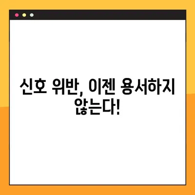 신호 위반 신고, 이렇게 하면 포상금 받는다! | 교통법규 위반, 신고 방법, 포상금 지급 기준