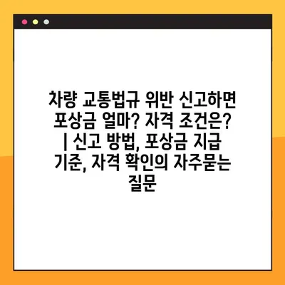 차량 교통법규 위반 신고하면 포상금 얼마? 자격 조건은? | 신고 방법, 포상금 지급 기준, 자격 확인