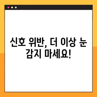 신호 위반, 이렇게 신고하세요! | 포상금 제도 & 상세 안내