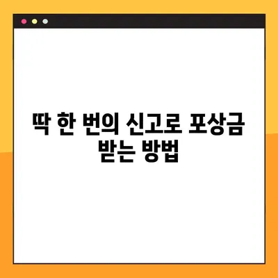 신호 위반, 이렇게 신고하세요! | 포상금 제도 & 상세 안내