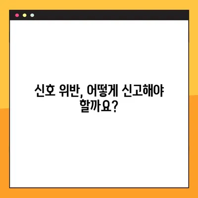 신호 위반, 이렇게 신고하세요! | 포상금 제도 & 상세 안내