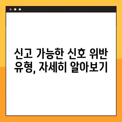 신호 위반, 이렇게 신고하세요! | 포상금 제도 & 상세 안내