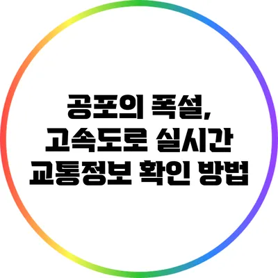 공포의 폭설, 고속도로 실시간 교통정보 확인 방법