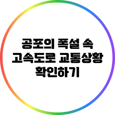 공포의 폭설 속 고속도로 교통상황 확인하기