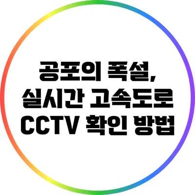 공포의 폭설, 실시간 고속도로 CCTV 확인 방법
