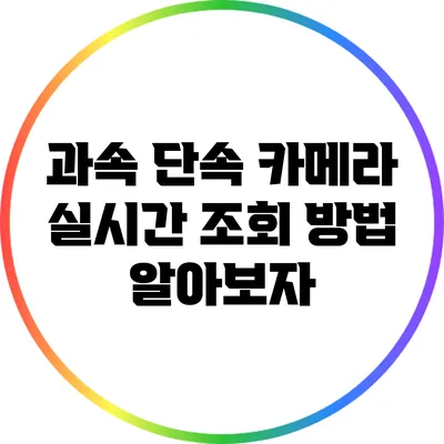 과속 단속 카메라 실시간 조회 방법 알아보자