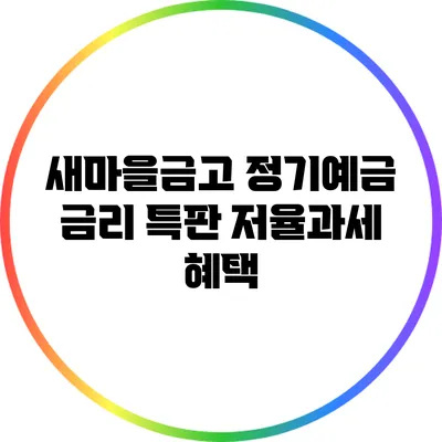 새마을금고 정기예금 금리 특판 저율과세 혜택