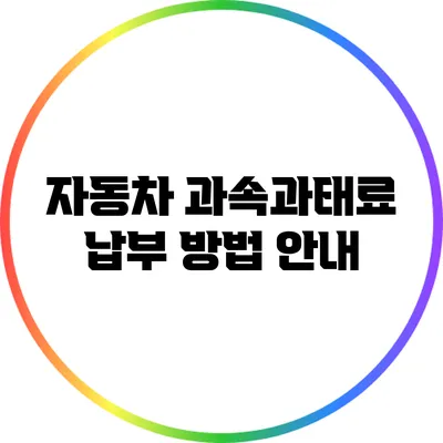 자동차 과속과태료 납부 방법 안내