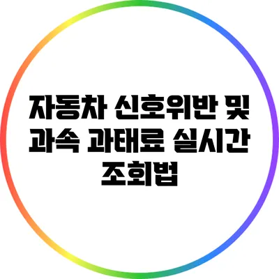 자동차 신호위반 및 과속 과태료 실시간 조회법
