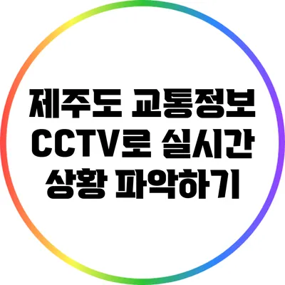 제주도 교통정보 CCTV로 실시간 상황 파악하기