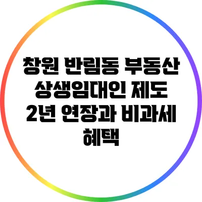 창원 반림동 부동산: 상생임대인 제도 2년 연장과 비과세 혜택