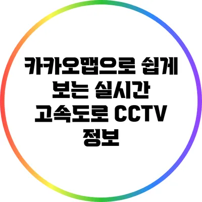 카카오맵으로 쉽게 보는 실시간 고속도로 CCTV 정보