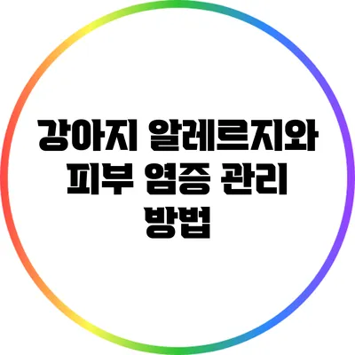 강아지 알레르지와 피부 염증 관리 방법