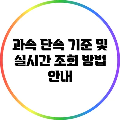 과속 단속 기준 및 실시간 조회 방법 안내