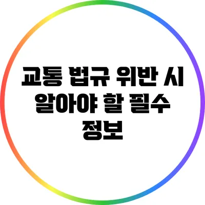 교통 법규 위반 시 알아야 할 필수 정보