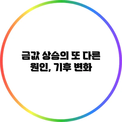 금값 상승의 또 다른 원인, 기후 변화?