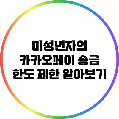 미성년자의 카카오페이 송금 한도 제한 알아보기