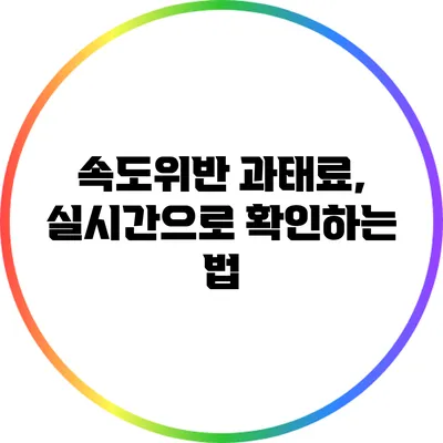 속도위반 과태료, 실시간으로 확인하는 법