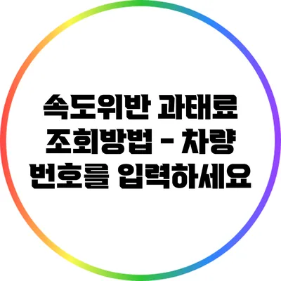 속도위반 과태료 조회방법 - 차량 번호를 입력하세요