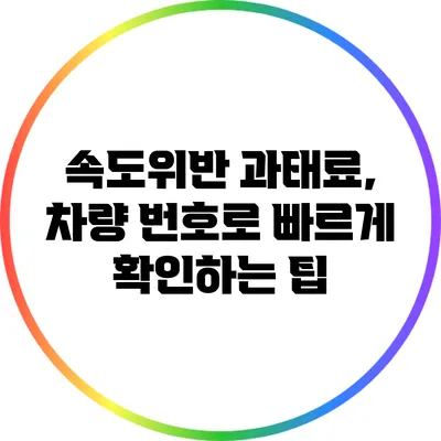 속도위반 과태료, 차량 번호로 빠르게 확인하는 팁