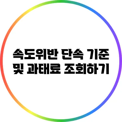 속도위반 단속 기준 및 과태료 조회하기