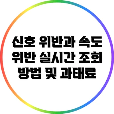 신호 위반과 속도 위반: 실시간 조회 방법 및 과태료