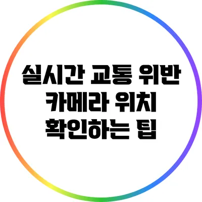 실시간 교통 위반 카메라 위치 확인하는 팁