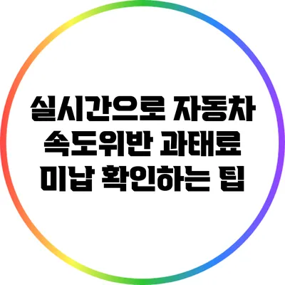 실시간으로 자동차 속도위반 과태료 미납 확인하는 팁
