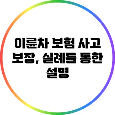이륜차 보험 사고 보장, 실례를 통한 설명