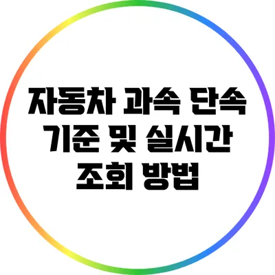 자동차 과속 단속 기준 및 실시간 조회 방법