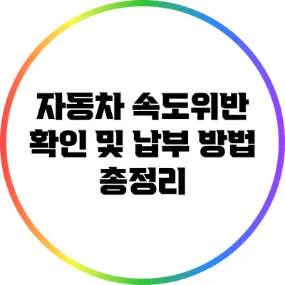 자동차 속도위반 확인 및 납부 방법 총정리