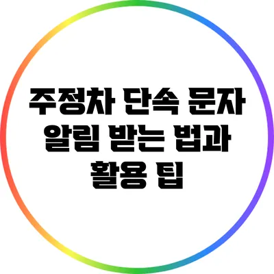 주정차 단속 문자 알림 받는 법과 활용 팁