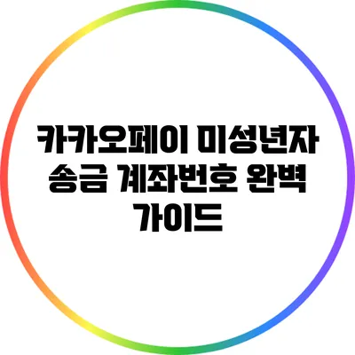 카카오페이 미성년자 송금 계좌번호 완벽 가이드