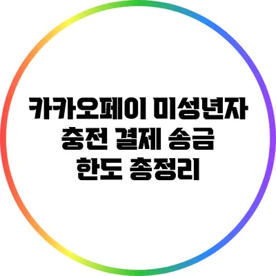 카카오페이 미성년자 충전 결제 송금 한도 총정리