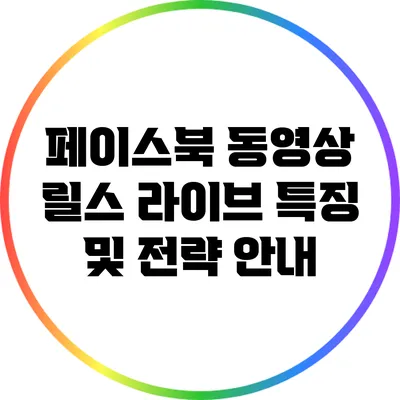 페이스북 동영상 릴스 라이브 특징 및 전략 안내