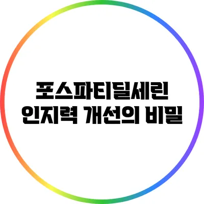 포스파티딜세린: 인지력 개선의 비밀