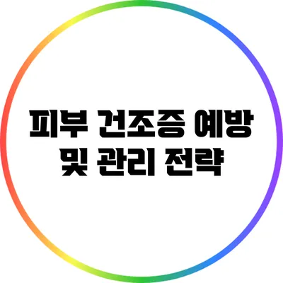 피부 건조증 예방 및 관리 전략