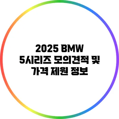 2025 BMW 5시리즈 모의견적 및 가격 제원 정보