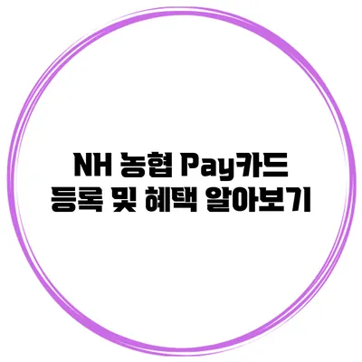 NH 농협 Pay카드 등록 및 혜택 알아보기