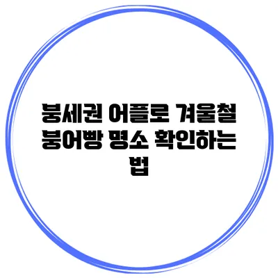 붕세권 어플로 겨울철 붕어빵 명소 확인하는 법