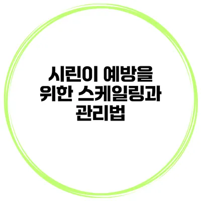 시린이 예방을 위한 스케일링과 관리법