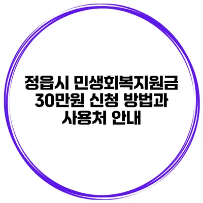 정읍시 민생회복지원금 30만원 신청 방법과 사용처 안내