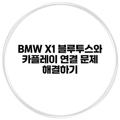 BMW X1 블루투스와 카플레이 연결 문제 해결하기