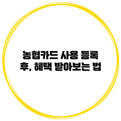 농협카드 사용 등록 후, 혜택 받아보는 법