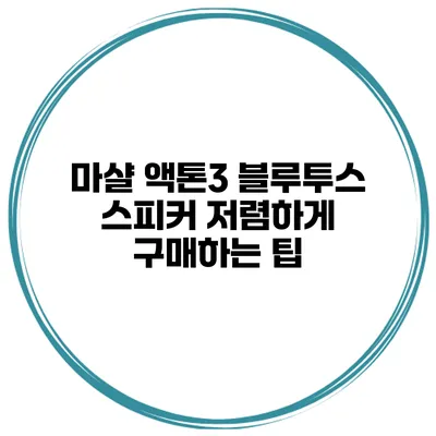 마샬 액톤3 블루투스 스피커 저렴하게 구매하는 팁