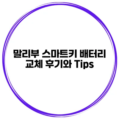 말리부 스마트키 배터리 교체 후기와 Tips