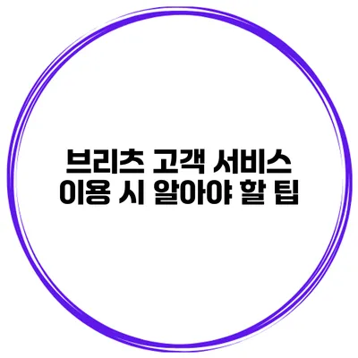 브리츠 고객 서비스 이용 시 알아야 할 팁